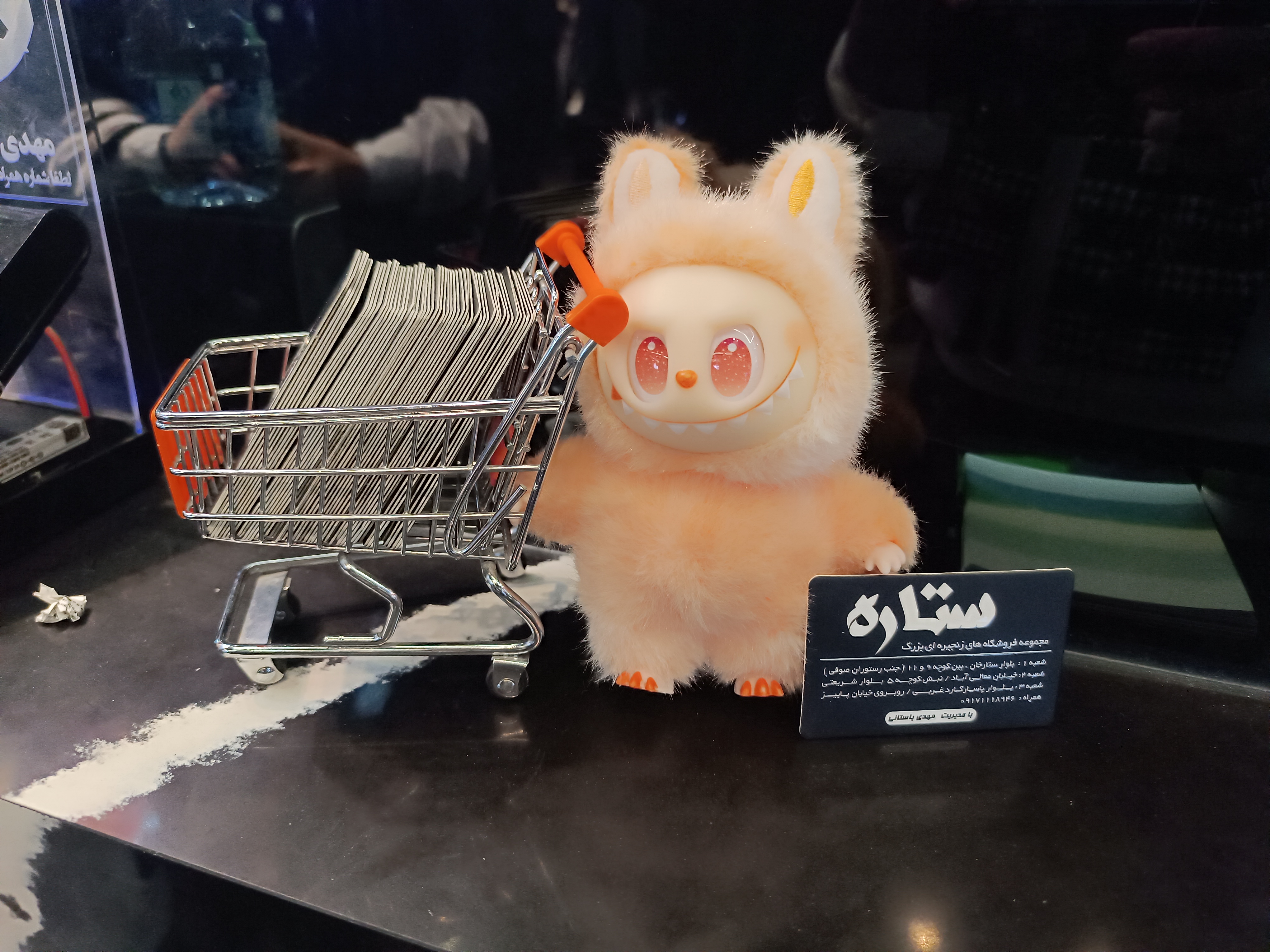 انواع کفش در شعبه معالی آباد